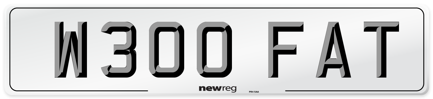 W300 FAT Front Number Plate