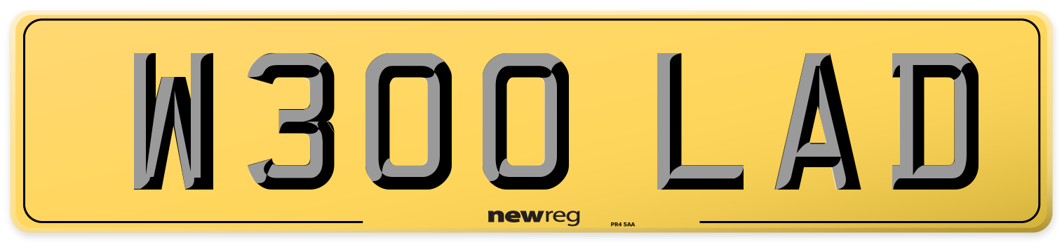 W300 LAD Rear Number Plate