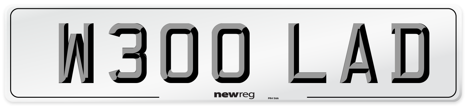W300 LAD Front Number Plate