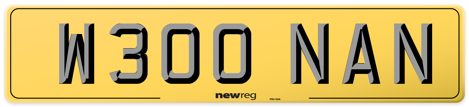 W300 NAN Rear Number Plate
