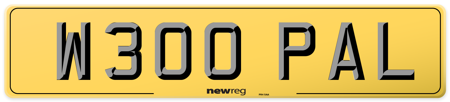 W300 PAL Rear Number Plate