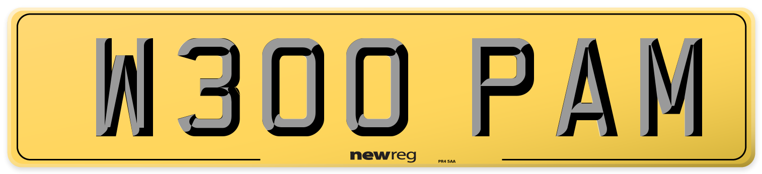 W300 PAM Rear Number Plate