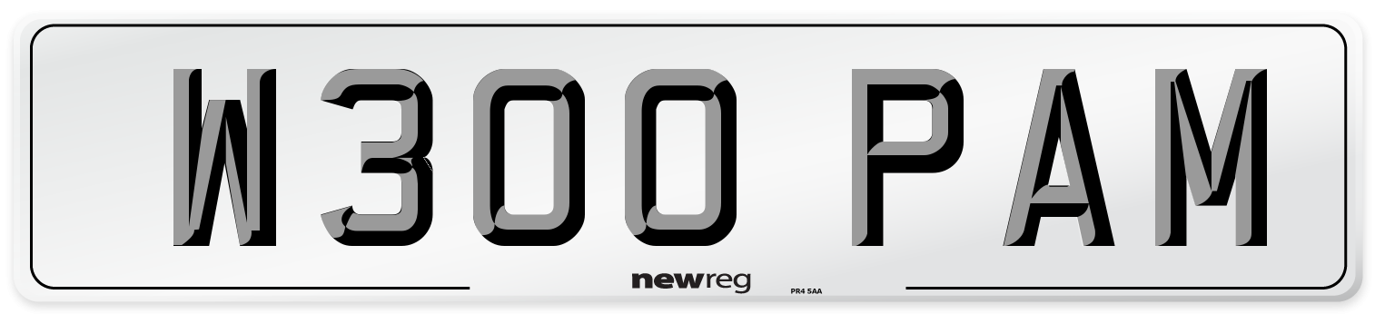 W300 PAM Front Number Plate