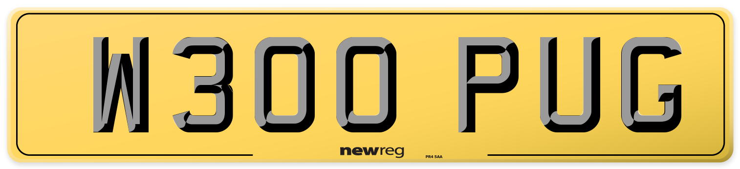 W300 PUG Rear Number Plate