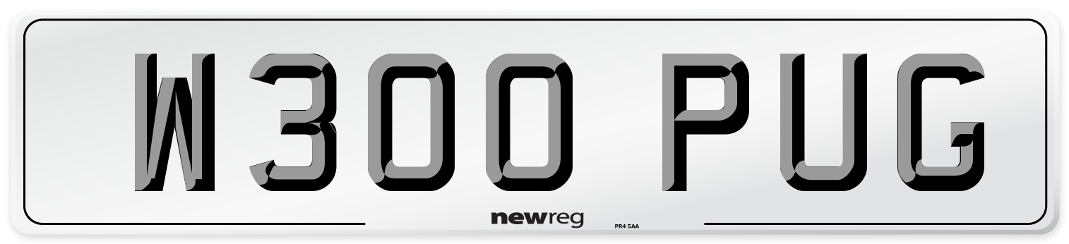 W300 PUG Front Number Plate
