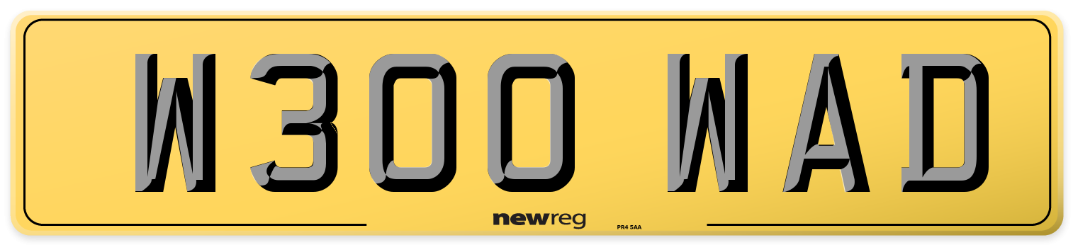 W300 WAD Rear Number Plate