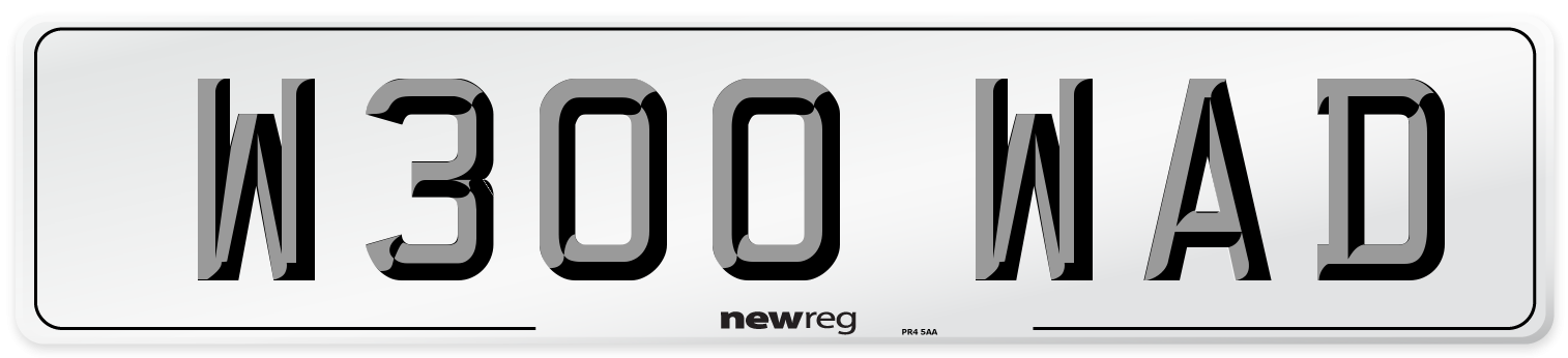 W300 WAD Front Number Plate