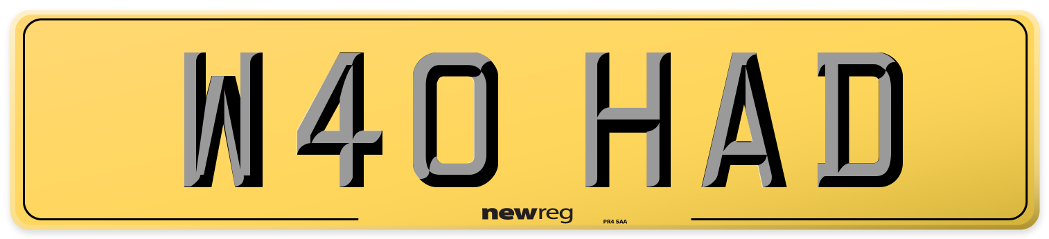 W40 HAD Rear Number Plate