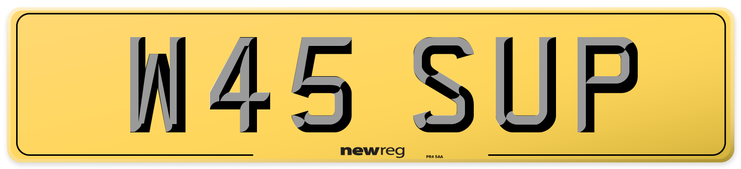 W45 SUP Rear Number Plate