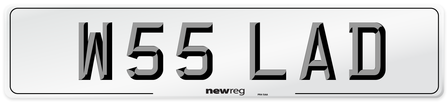 W55 LAD Front Number Plate