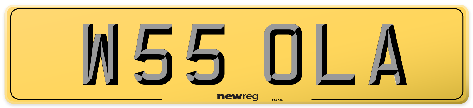 W55 OLA Rear Number Plate