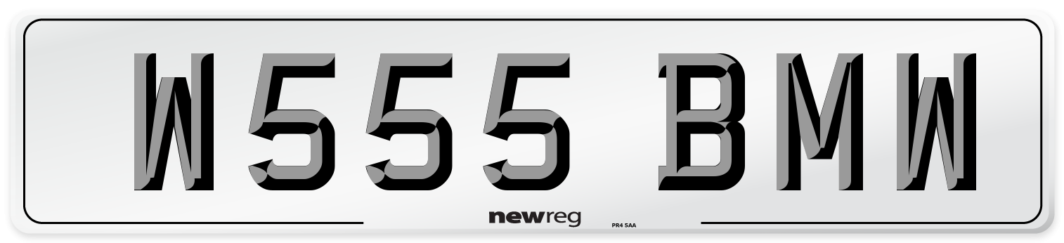 W555 BMW Front Number Plate