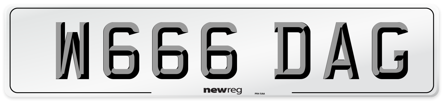 W666 DAG Front Number Plate
