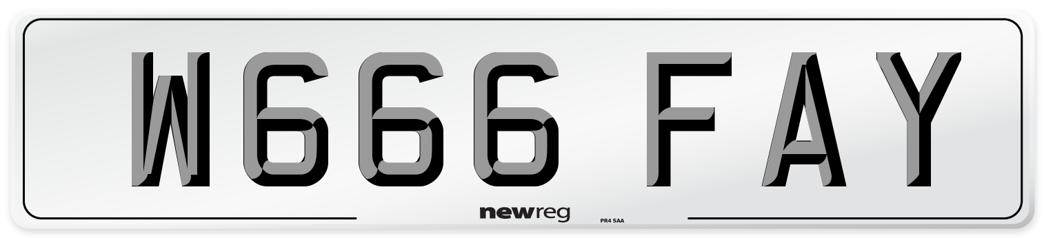 W666 FAY Front Number Plate