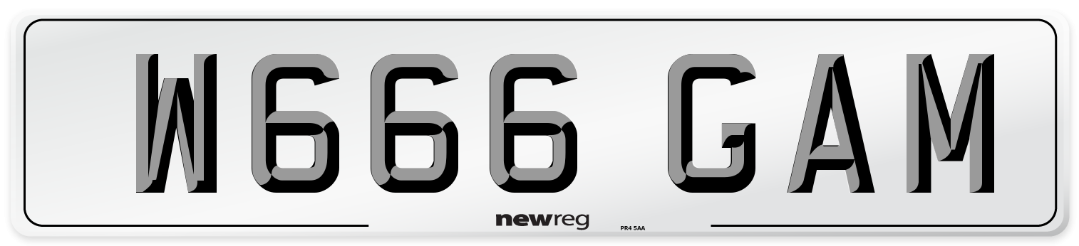 W666 GAM Front Number Plate