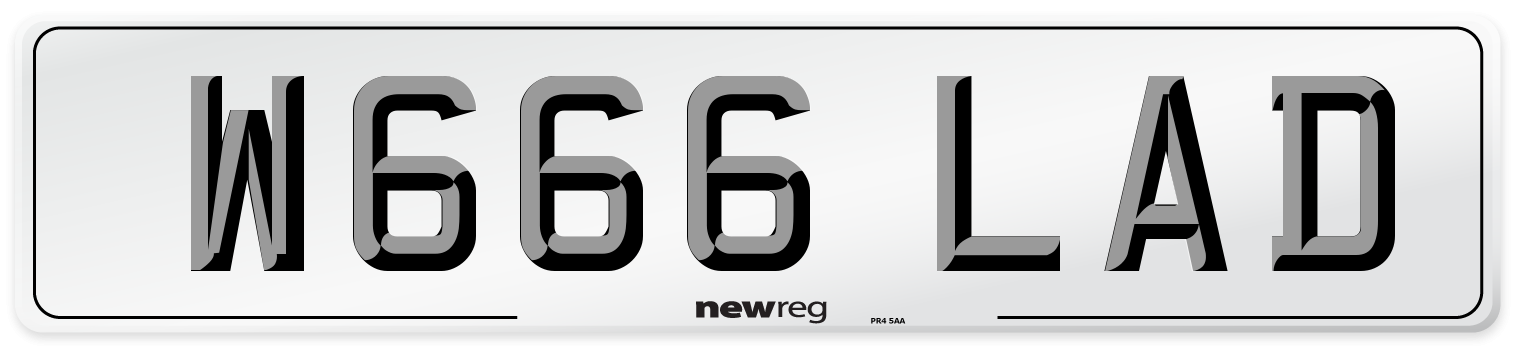 W666 LAD Front Number Plate