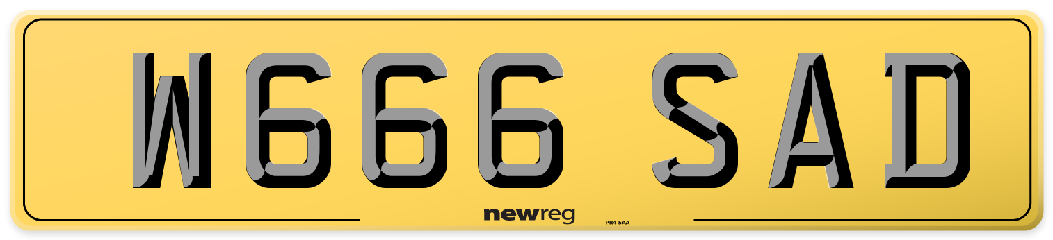 W666 SAD Rear Number Plate
