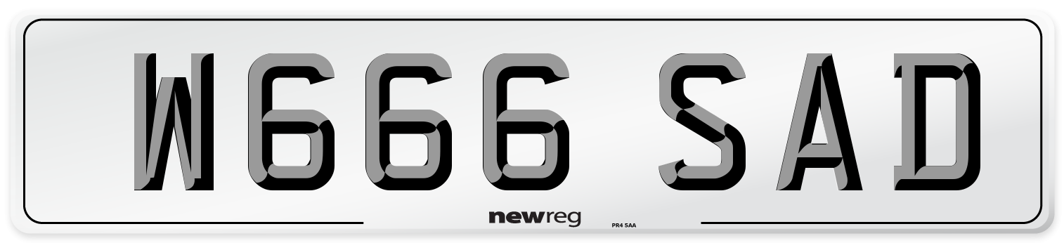 W666 SAD Front Number Plate