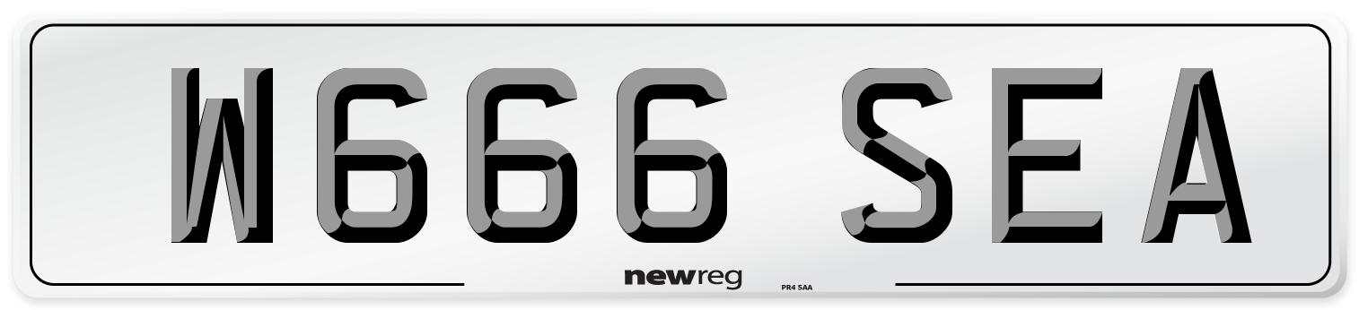 W666 SEA Front Number Plate
