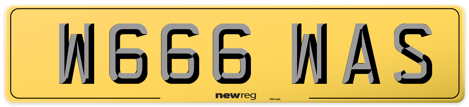 W666 WAS Rear Number Plate