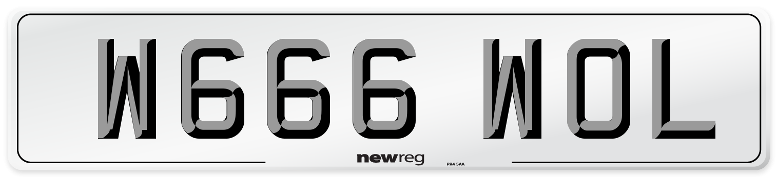 W666 WOL Front Number Plate