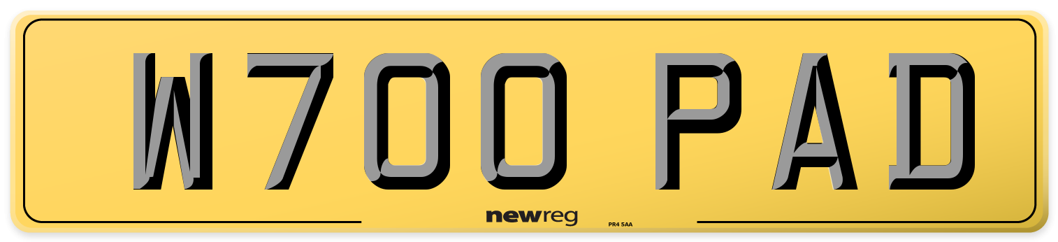 W700 PAD Rear Number Plate