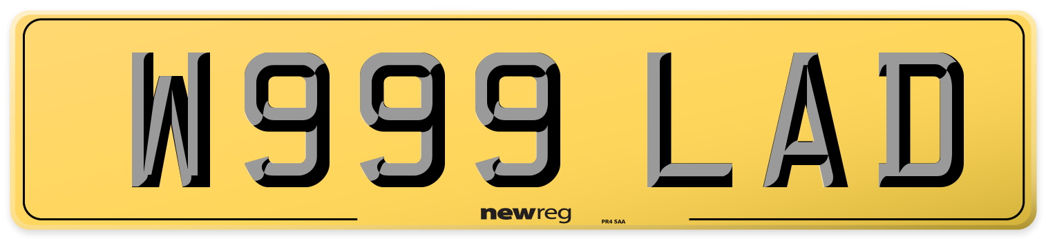 W999 LAD Rear Number Plate