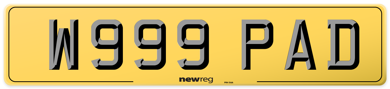 W999 PAD Rear Number Plate