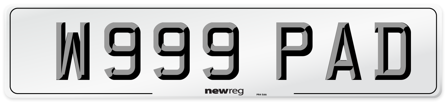 W999 PAD Front Number Plate