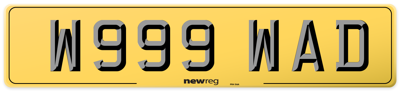 W999 WAD Rear Number Plate