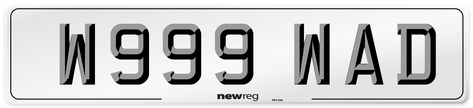 W999 WAD Front Number Plate