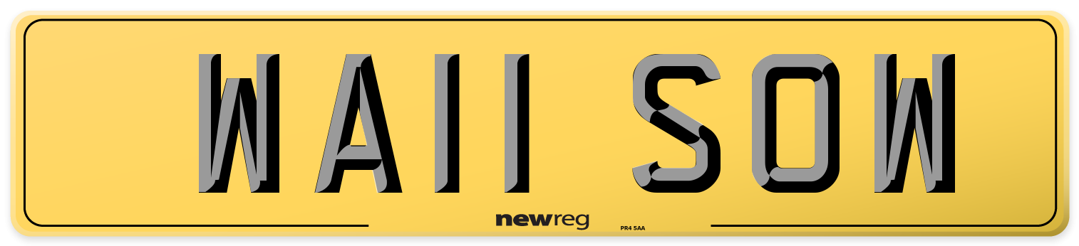 WA11 SOW Rear Number Plate