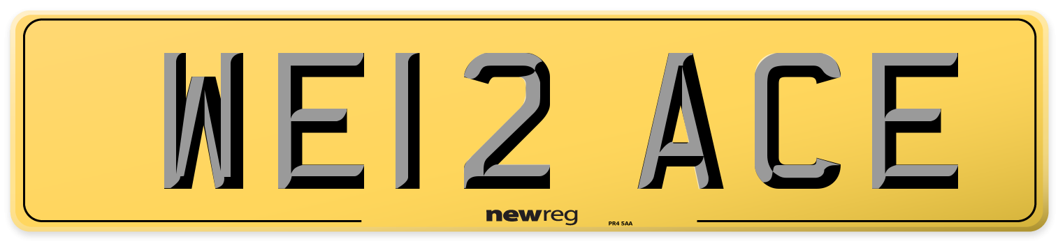 WE12 ACE Rear Number Plate