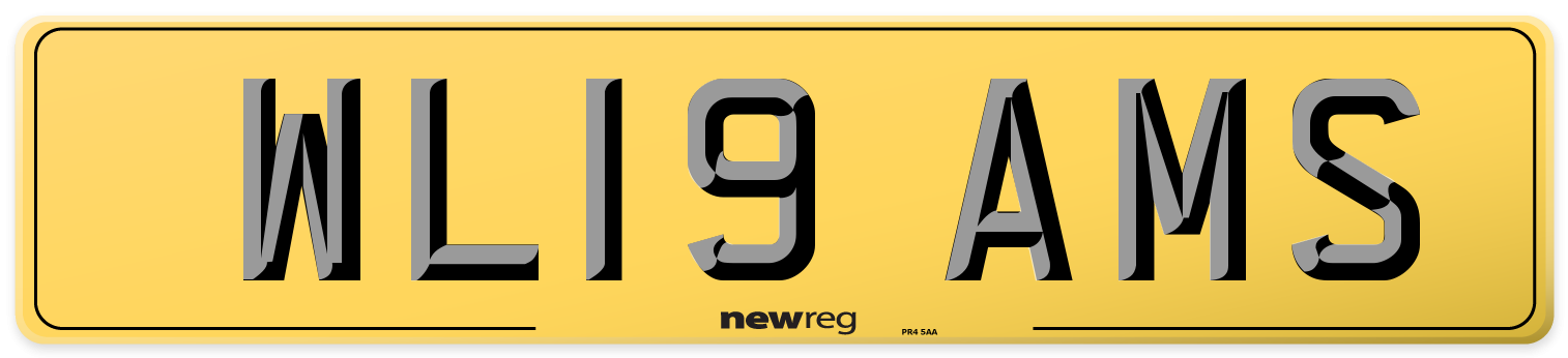 WL19 AMS Rear Number Plate