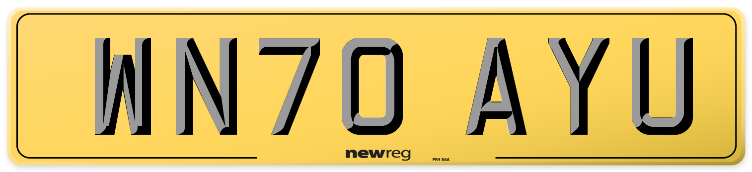 WN70 AYU Rear Number Plate