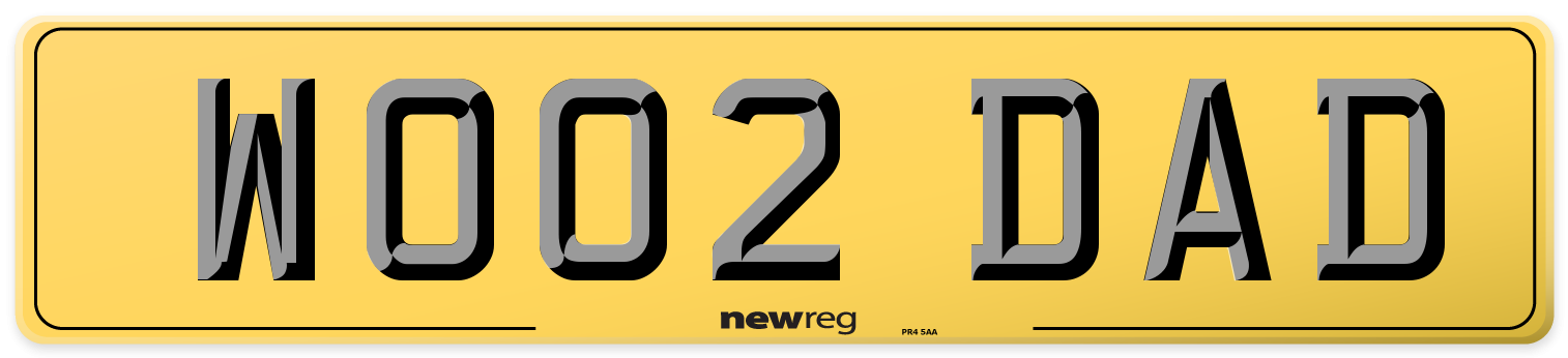 WO02 DAD Rear Number Plate