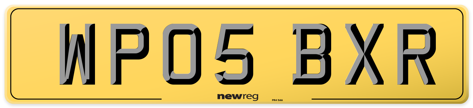WP05 BXR Rear Number Plate