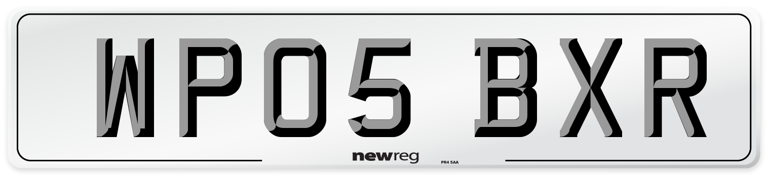 WP05 BXR Front Number Plate