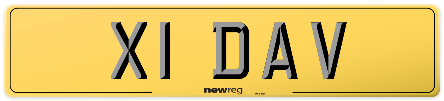 X1 DAV Rear Number Plate