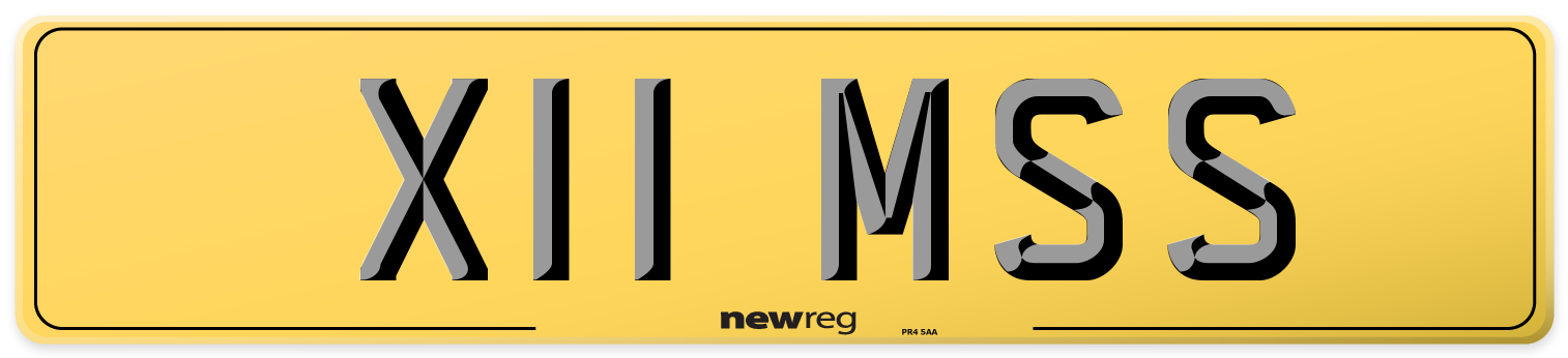 X11 MSS Rear Number Plate