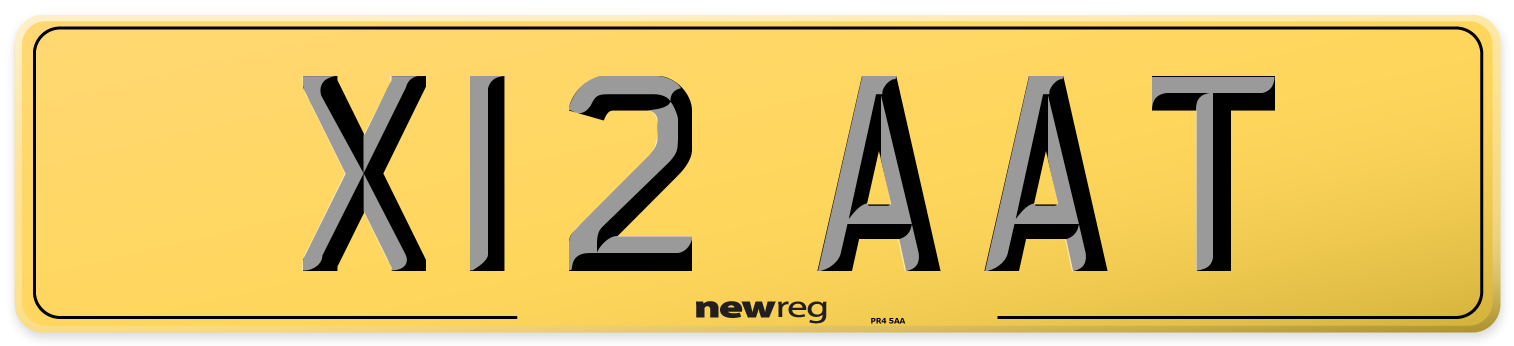X12 AAT Rear Number Plate
