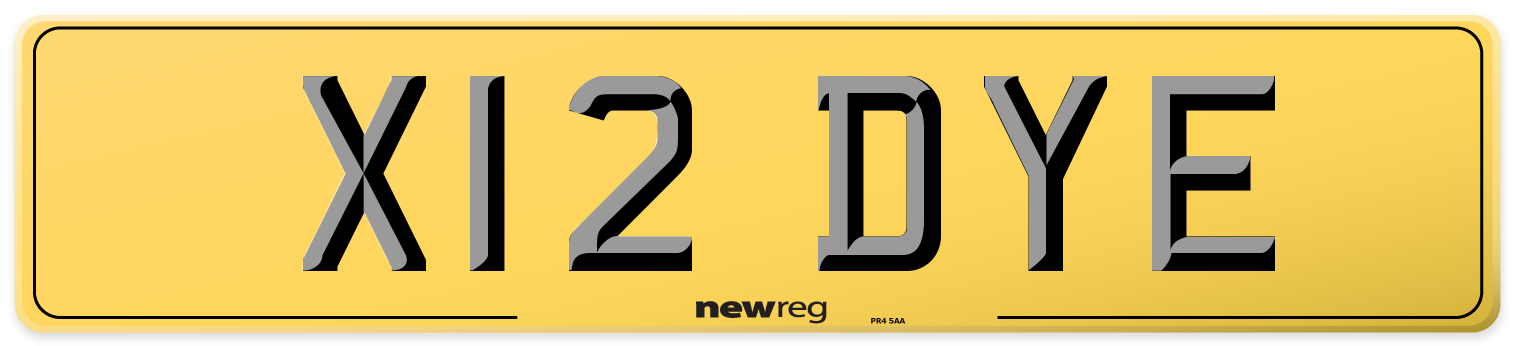 X12 DYE Rear Number Plate
