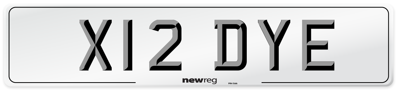 X12 DYE Front Number Plate