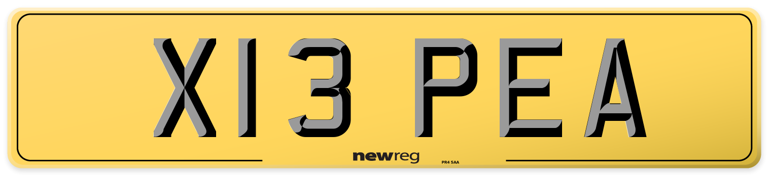 X13 PEA Rear Number Plate