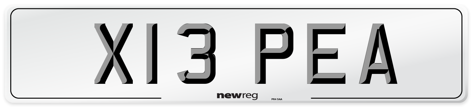 X13 PEA Front Number Plate