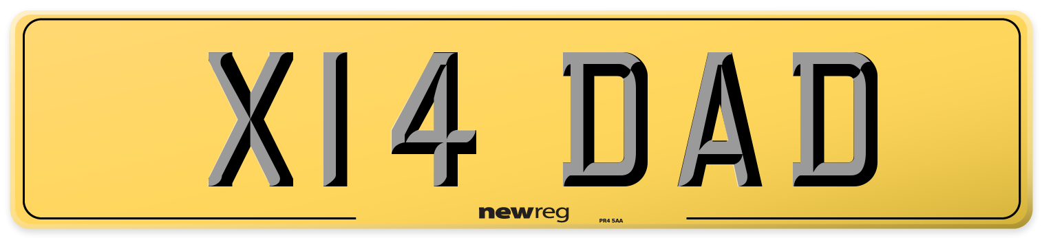 X14 DAD Rear Number Plate