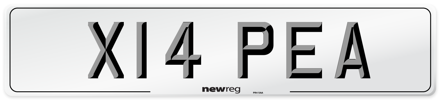 X14 PEA Front Number Plate