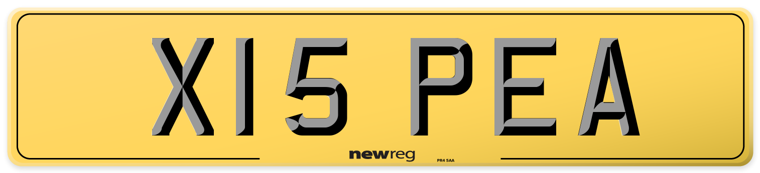 X15 PEA Rear Number Plate
