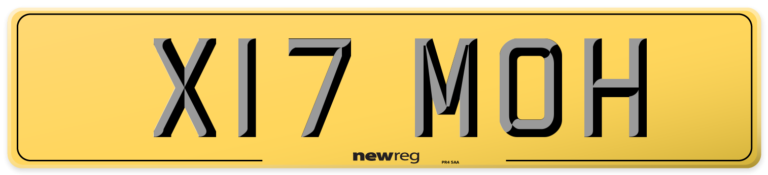X17 MOH Rear Number Plate