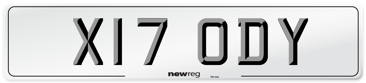 X17 ODY Front Number Plate